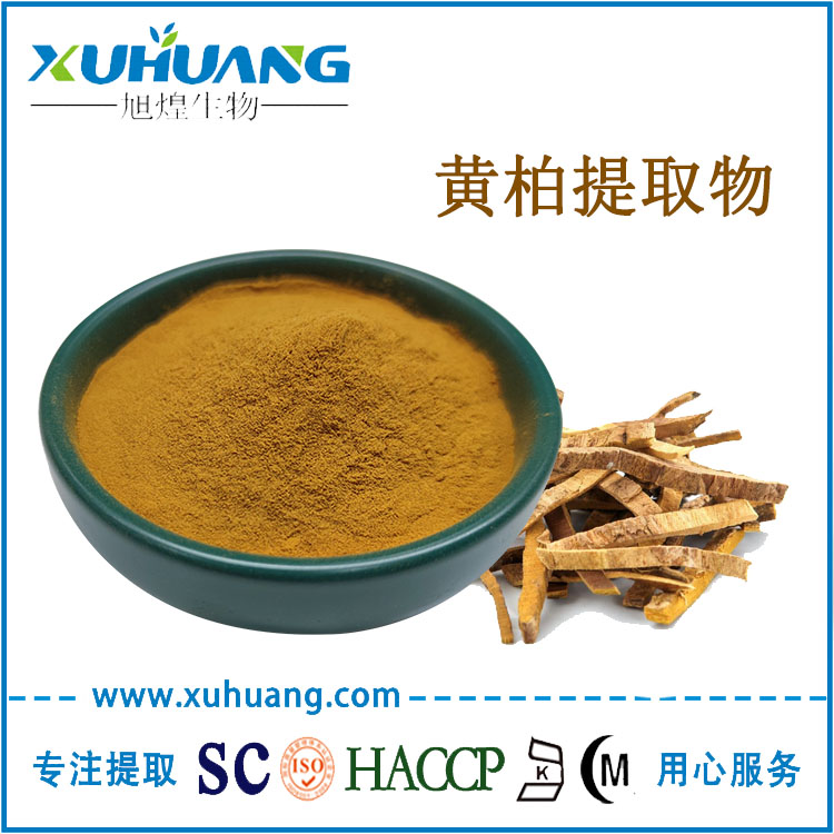 黄柏提取物